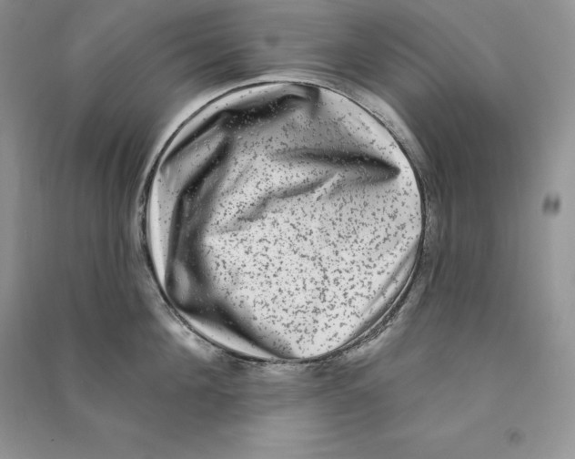 X0000090610908200708141349