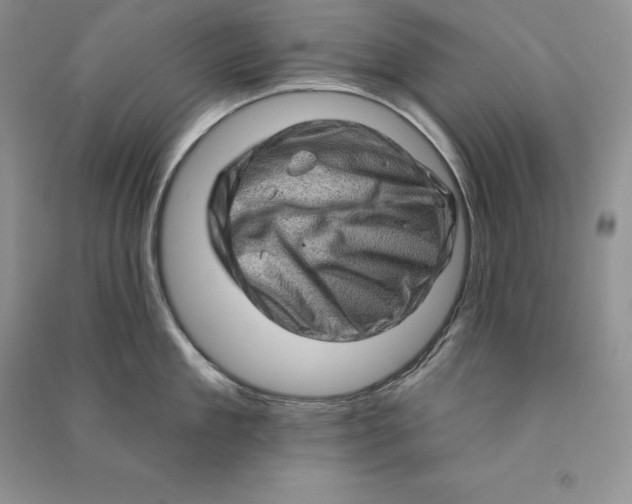 X0000090610909200708141349