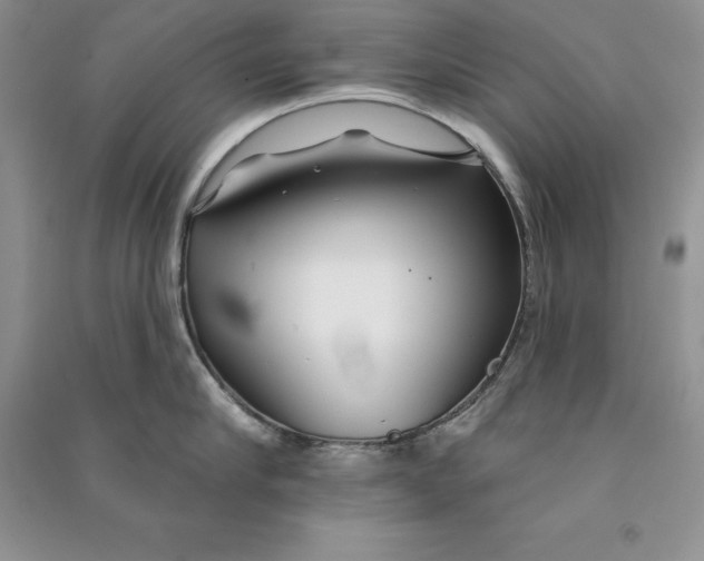 X0000090610910200708141349