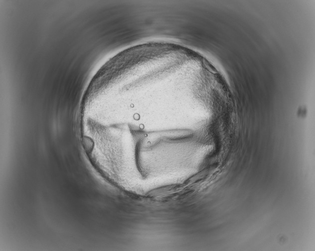 X0000090610911200708141349