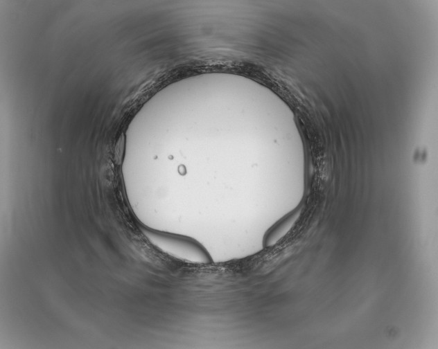 X0000090610916200708141348