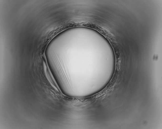 X0000090610917200708141348