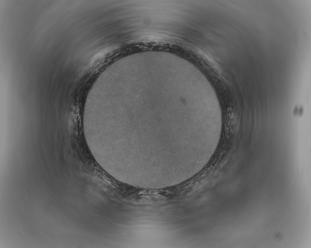 X0000090610918200708141348