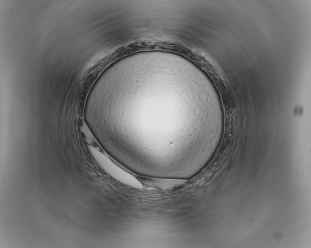 X0000090610919200708141348