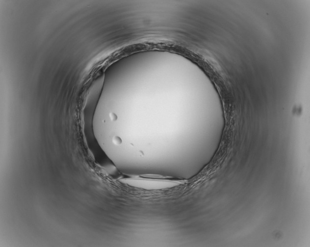 X0000090610920200708141348