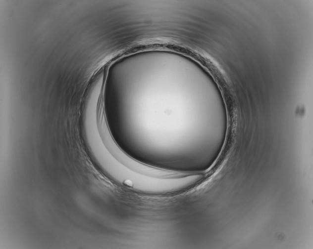 X0000090610921200708141348