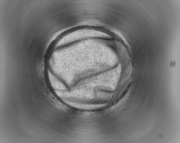 X0000090610923200708141348