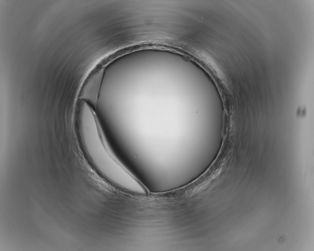 X0000090610924200708141348