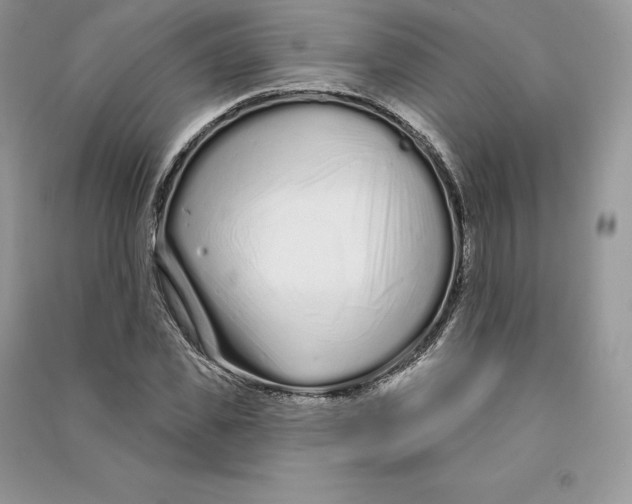 X0000090610925200708141348