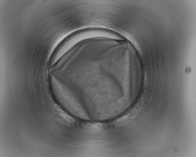 X0000090610926200708141348