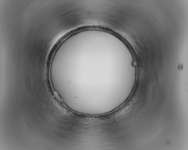 X0000090610927200708141348