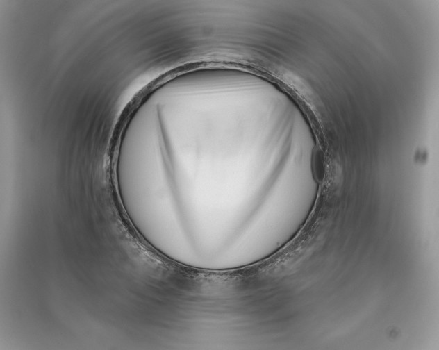 X0000090610928200708141348