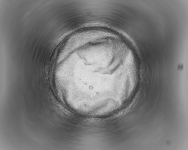 X0000090610929200708141348