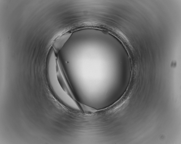 X0000090610930200708141348