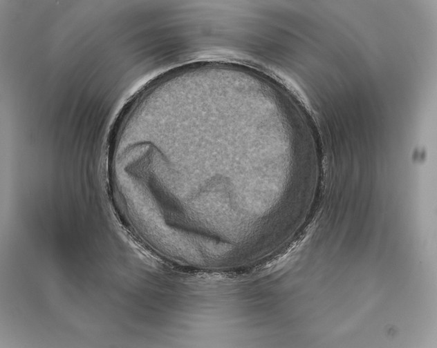 X0000090610931200708141348