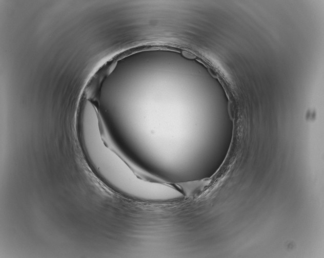 X0000090610932200708141348