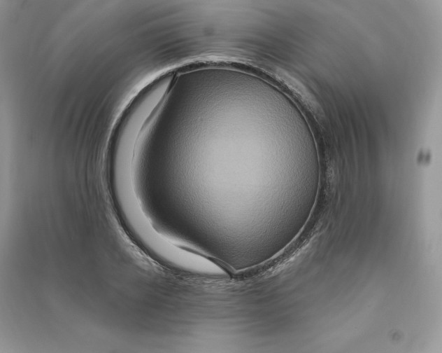 X0000090610934200708141348