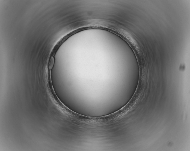 X0000090610936200708141348