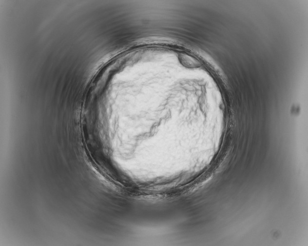 X0000090610937200708141348