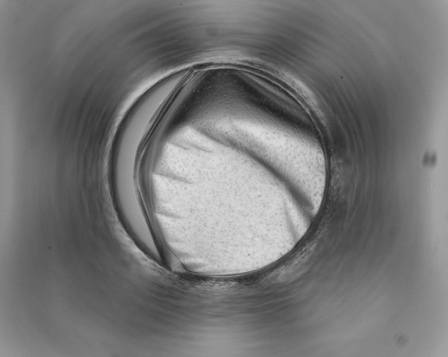 X0000090610939200708141348