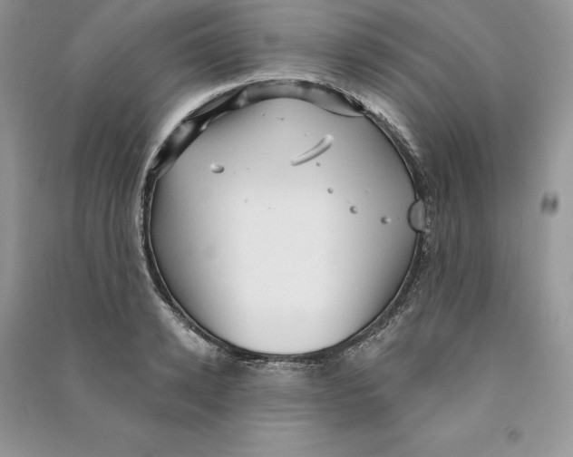 X0000090610942200708141348