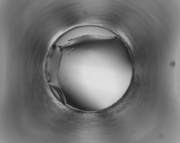 X0000090610944200708141348