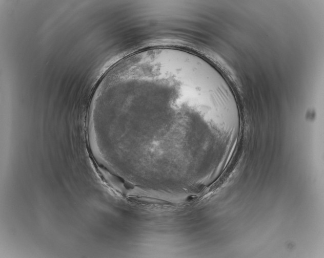 X0000090610945200708141348