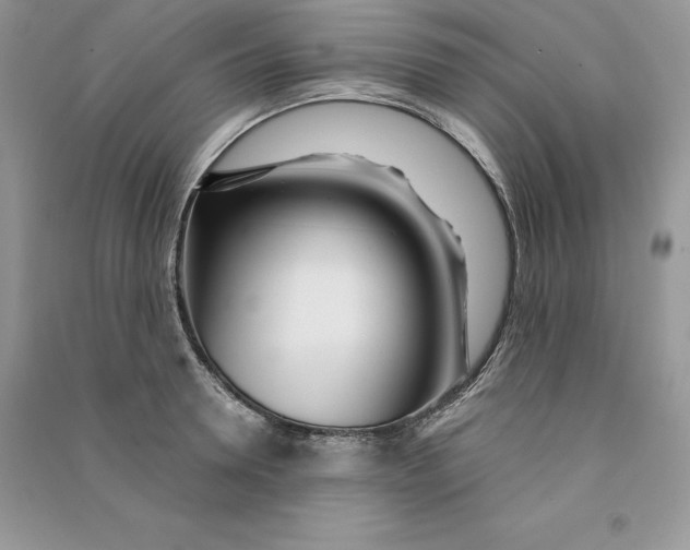 X0000090610946200708141348