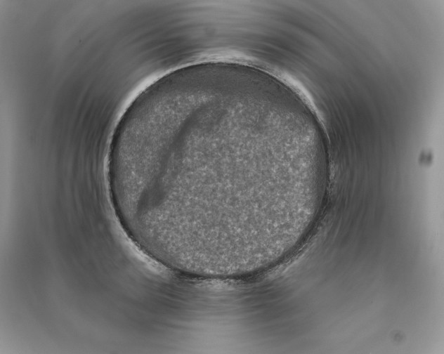 X0000090610947200708141348