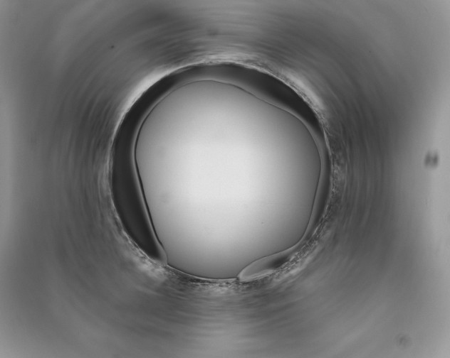 X0000090610948200708141348