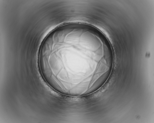 X0000090610949200708141348