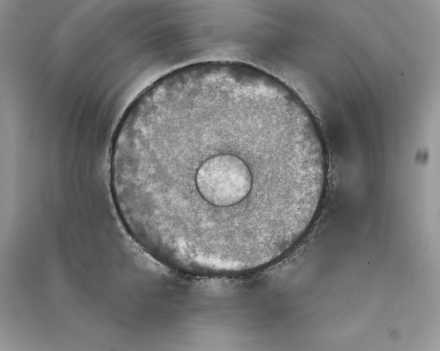 X0000090610950200708141348