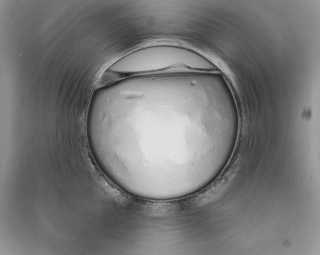 X0000090610953200708141348