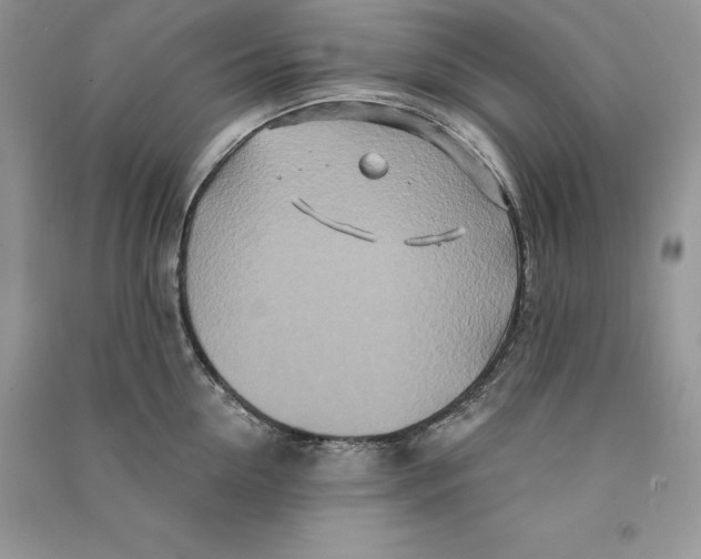 X0000090610954200708141348