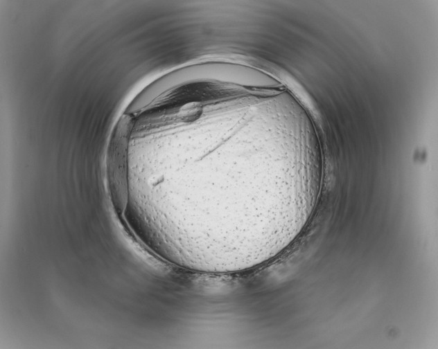 X0000090610955200708141348