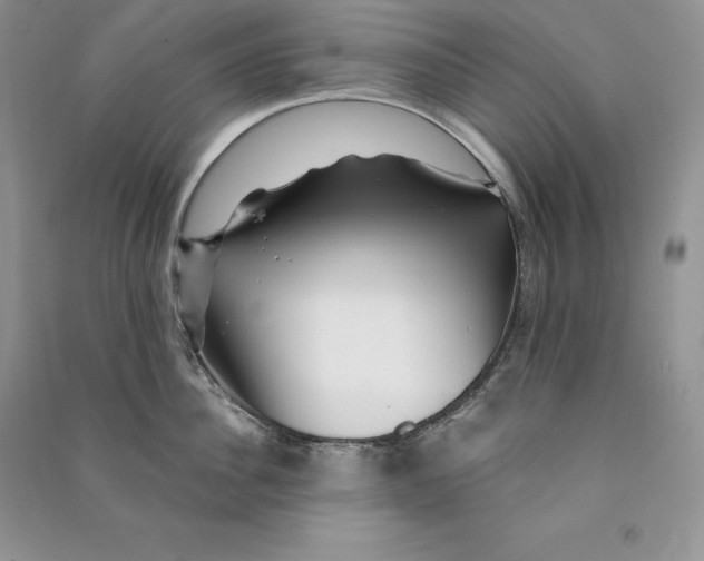 X0000090610956200708141348