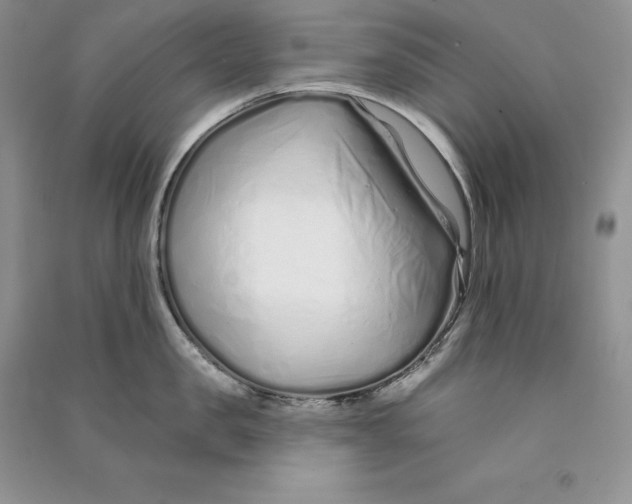 X0000090610957200708141348