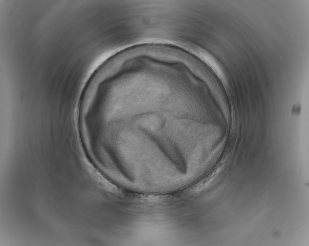 X0000090610958200708141349