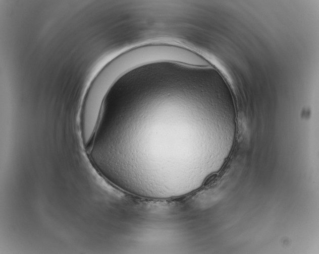 X0000090610959200708141349