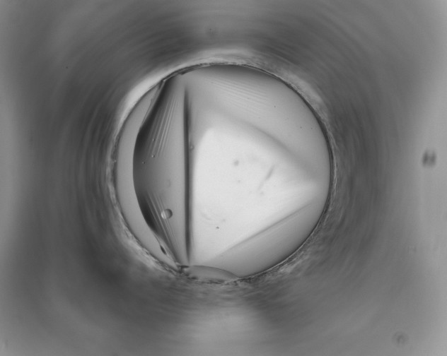 X0000090610960200708141349