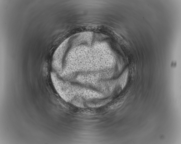 X0000090610962200708141348