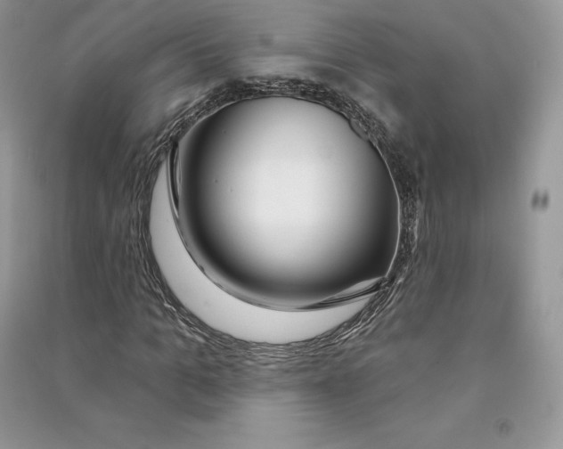 X0000090610965200708141348