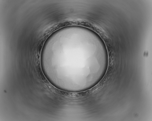 X0000090610966200708141348