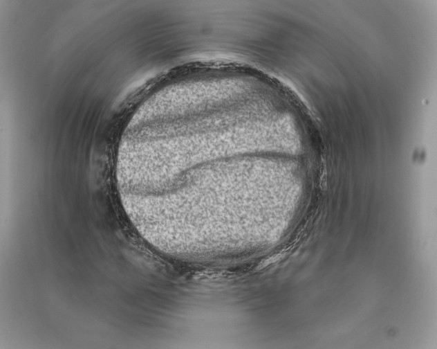 X0000090610967200708141348