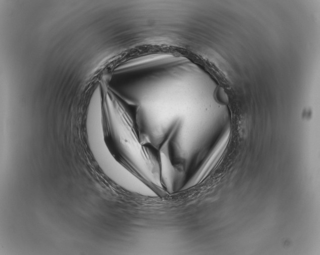 X0000090610968200708141348