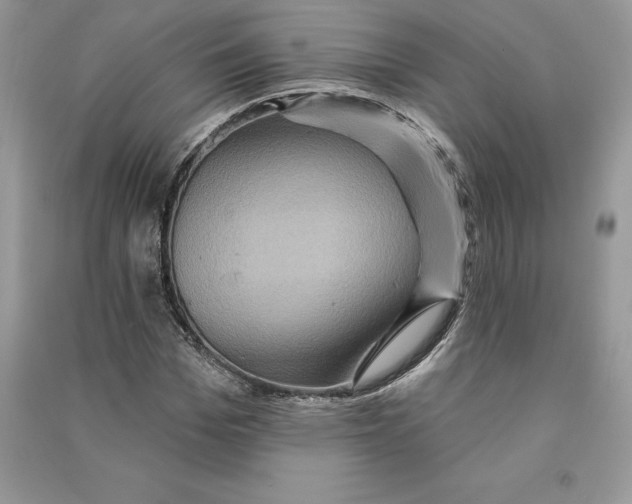 X0000090610969200708141348