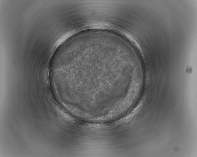 X0000090610970200708141348