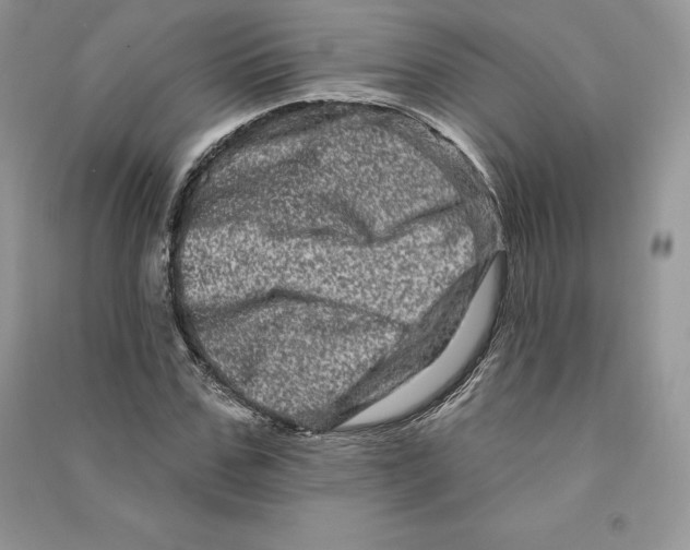 X0000090610971200708141348