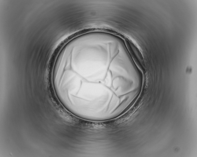 X0000090610975200708141348