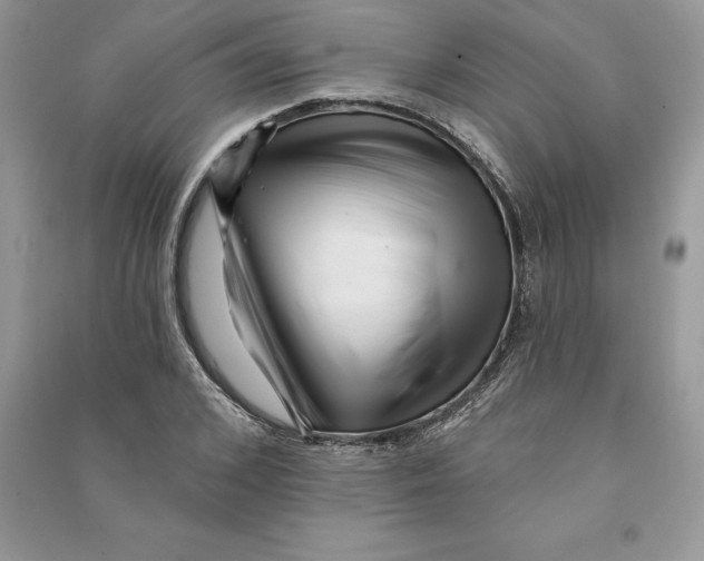 X0000090610976200708141348